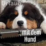 Der Seehof