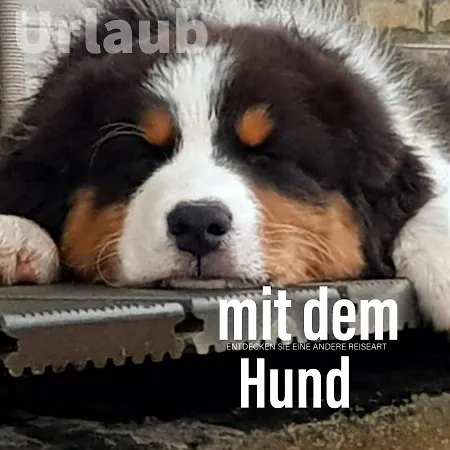 Der Seehof