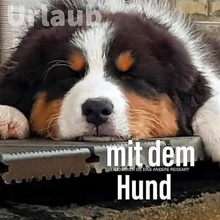 מלון Der Seehof היימבאך